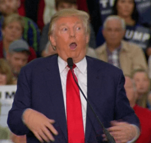 Trump mocking handicapped reporter